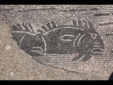 05233 ostia - regio iii - insula xvi - terme della trinacria (iii,xvi,7) - exedra - raum 6 - mosaik - fisch - 2016.jpg